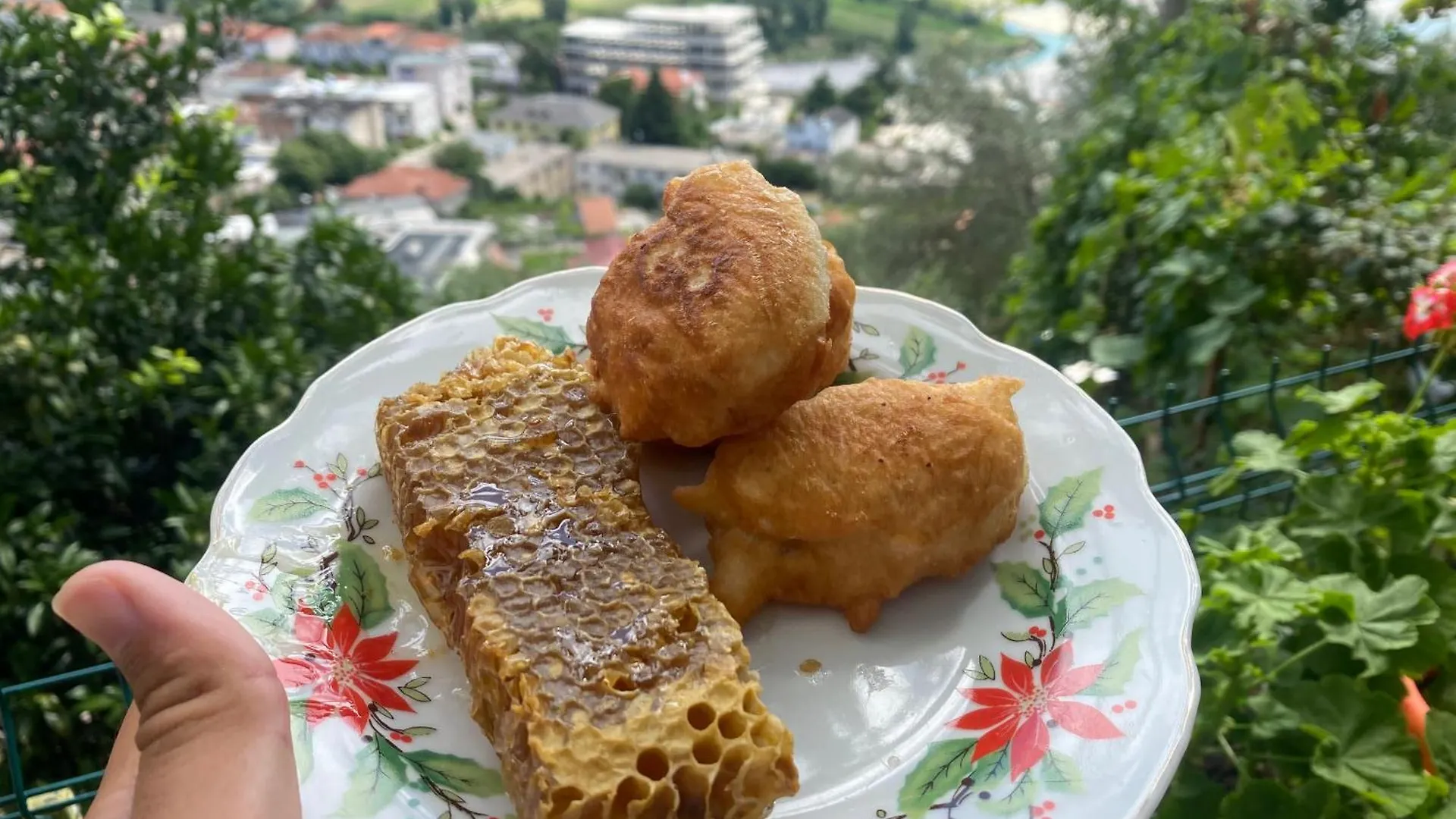 Vila Permbi Tepelene Homestay